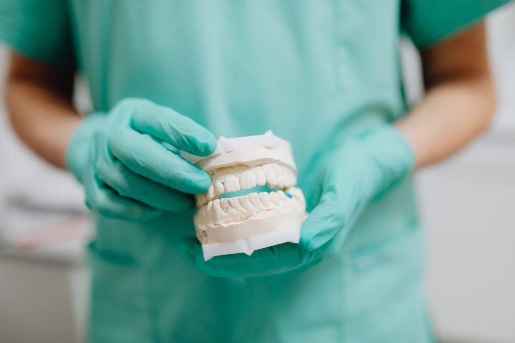  Dentist holding a mouth mold.